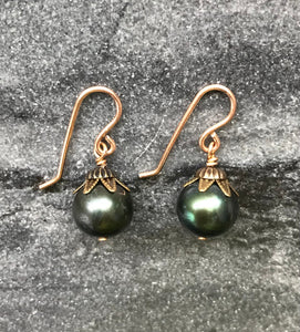 Peacock Pearl and Bronze Earrings