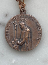 Load image into Gallery viewer, Saint Catherine Rosary: Onyx, Moonstone, Bronze Dominican Tenner
